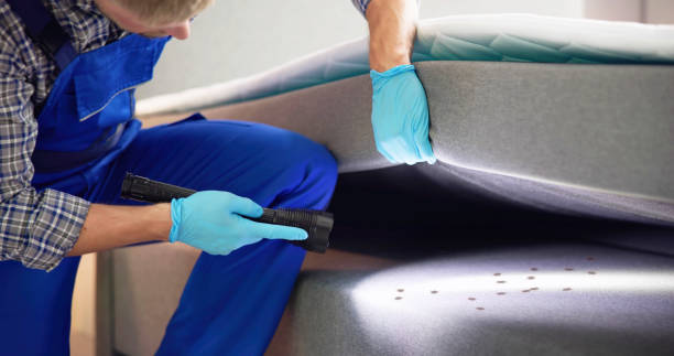 Flea Control Services in Lemont Furnace, PA