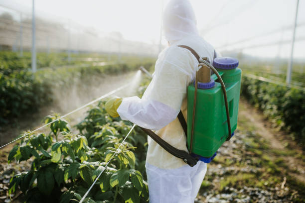 Best Flea Control Services  in Lemont Furnace, PA